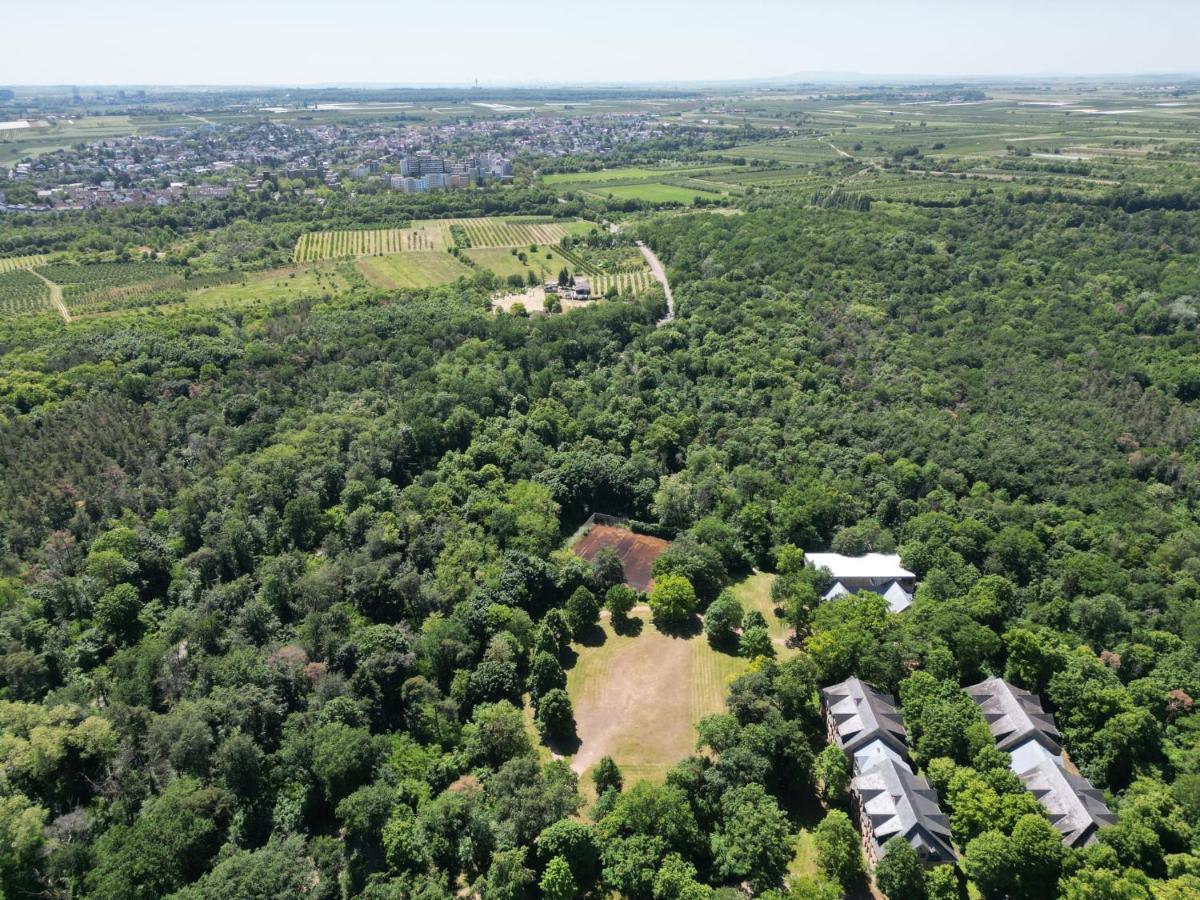 Ferienhaus Budenheim 外观 照片